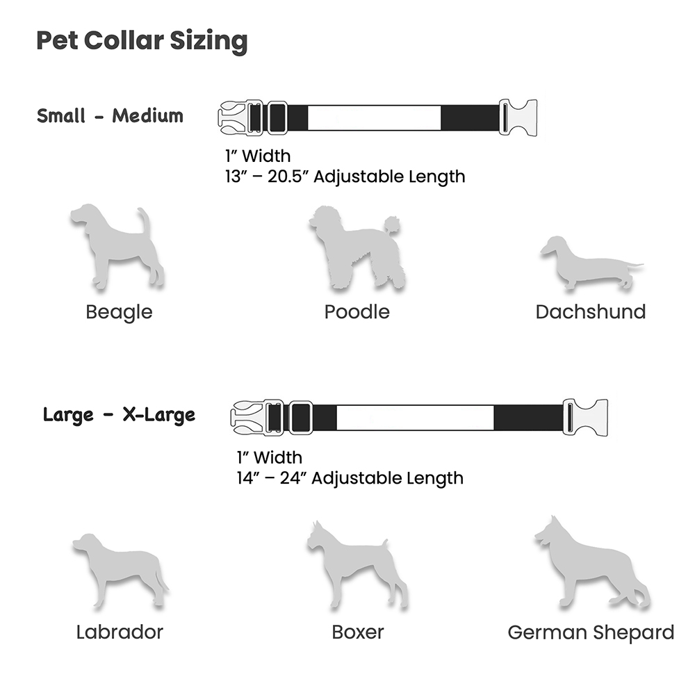 Pet Collar, 4 pack, 13 -20'', Small - Medium